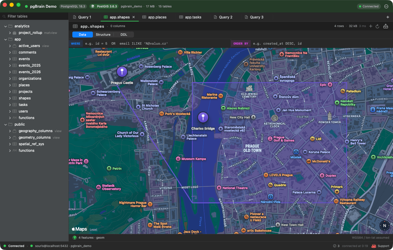 pgBrain screenshot 2