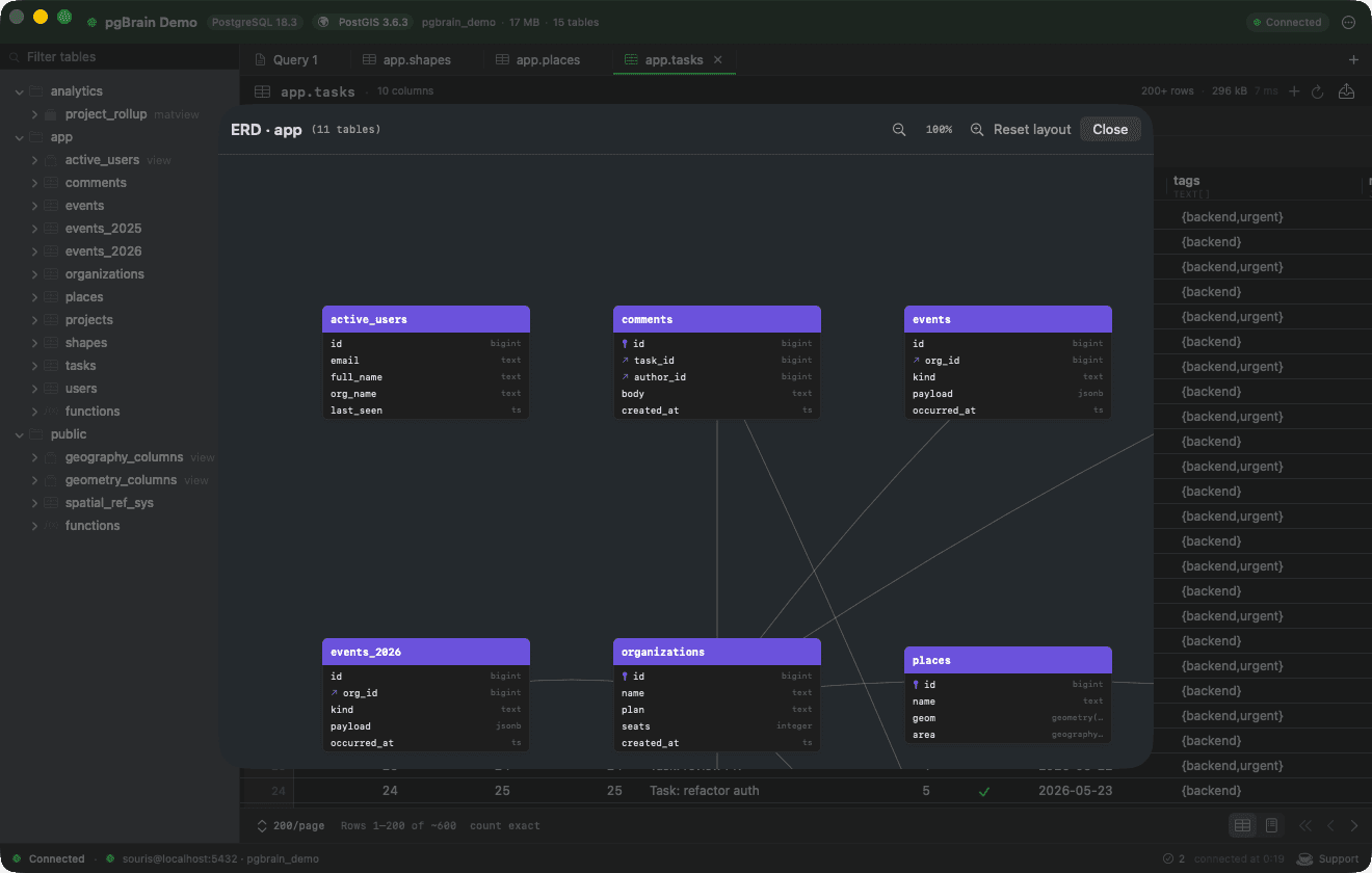 pgBrain screenshot 4
